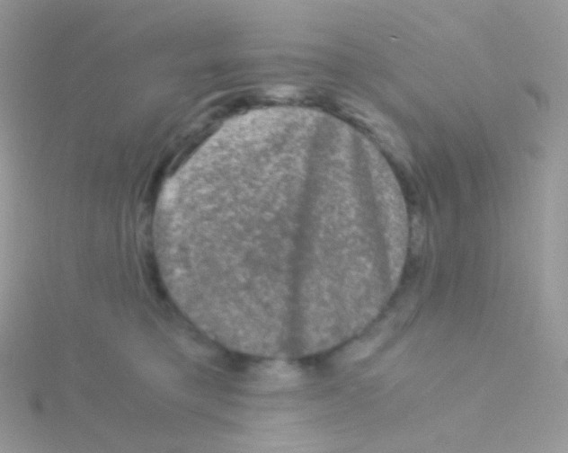 X0000115040421200911231137