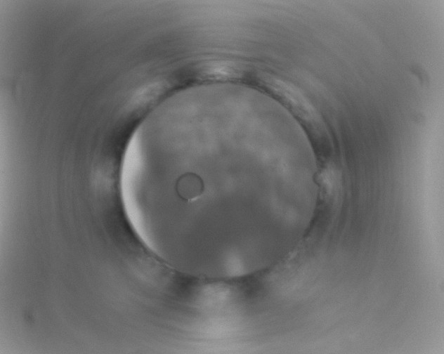 X0000115040423200911231136