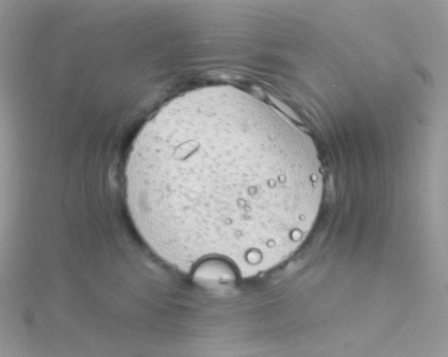 X0000115040424200911231136