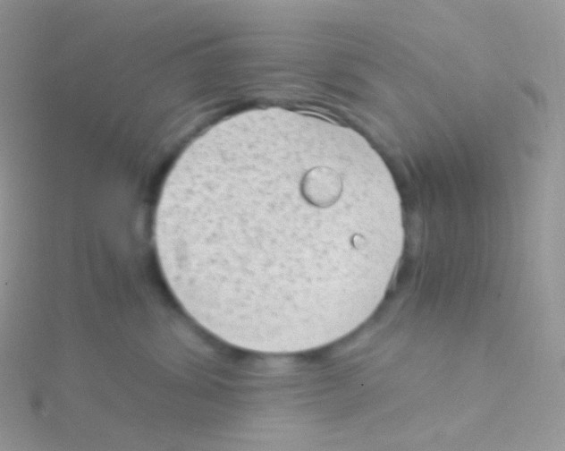 X0000115040428200911231136