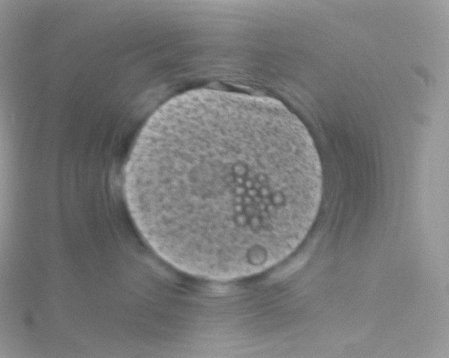 X0000115040432200911231136