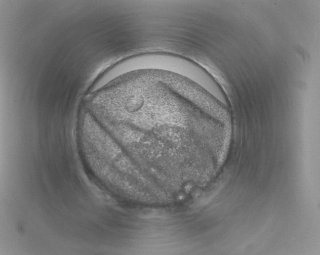 X0000115040434200911231136