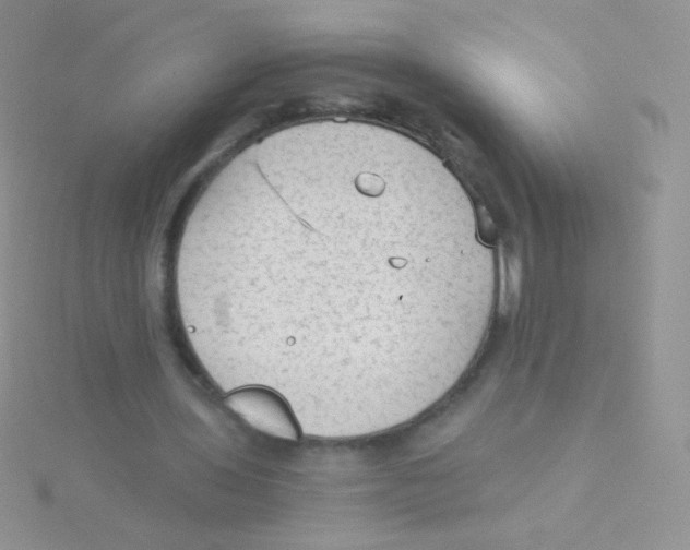 X0000115040435200911231136