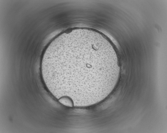 X0000115040437200911231136