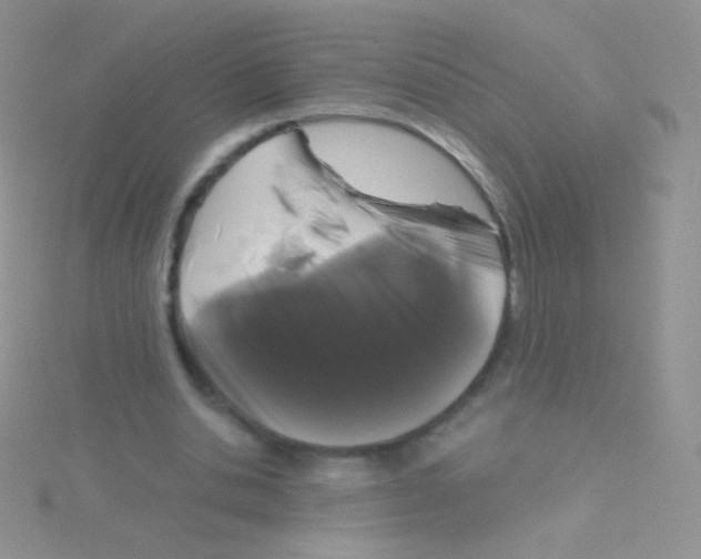 X0000115040438200911231136