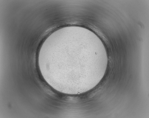 X0000115040442200911231136