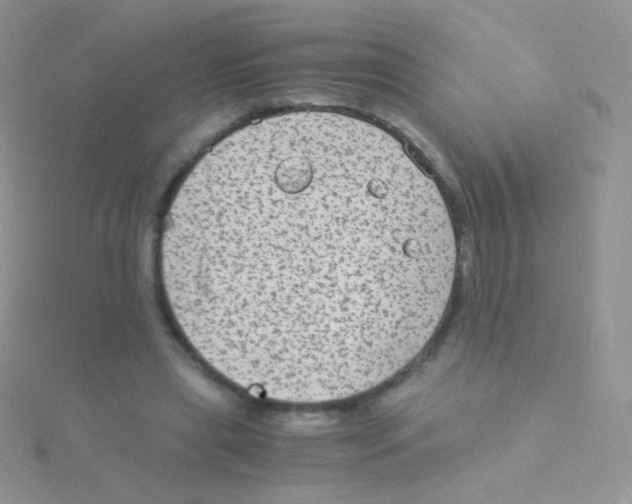 X0000115040445200911231136