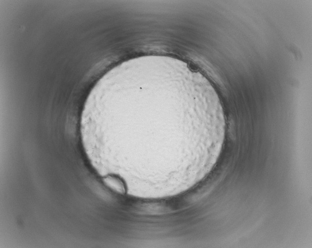 X0000115040449200911231136