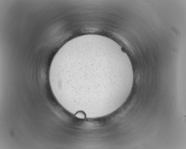 X0000115040455200911231136