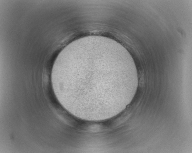 X0000115040456200911231136