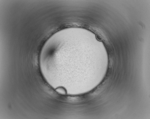 X0000115040457200911231136