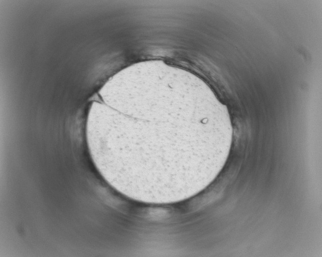 X0000115040462200911231136