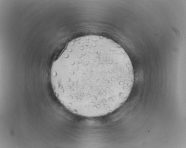 X0000115040464200911231136