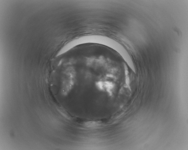 X0000115040465200911231136