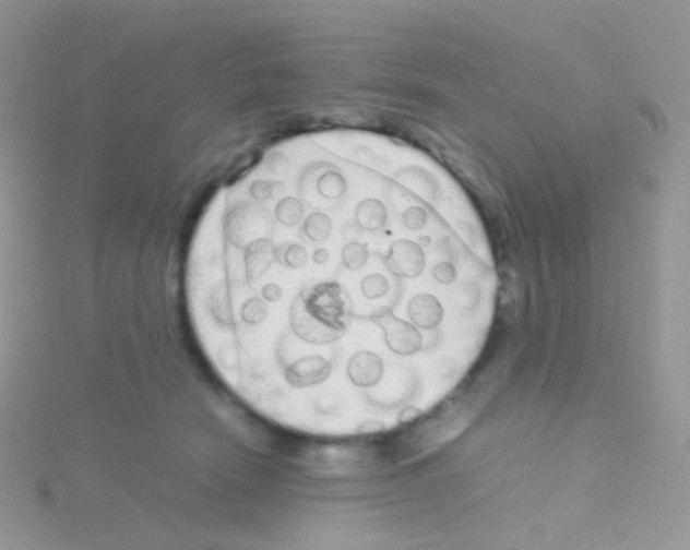 X0000115040466200911231136