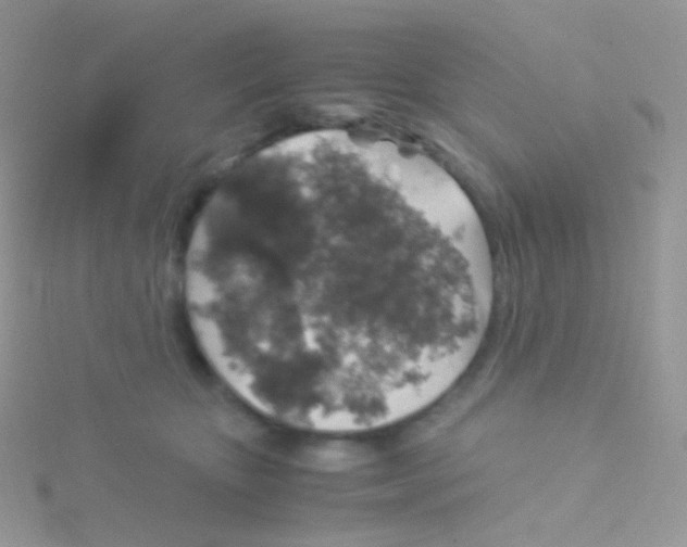 X0000115040467200911231136