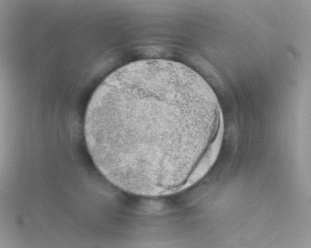 X0000115040469200911231136