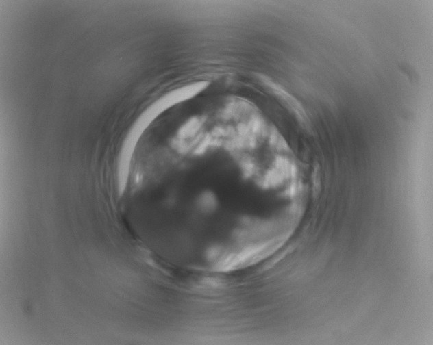 X0000115040475200911231136