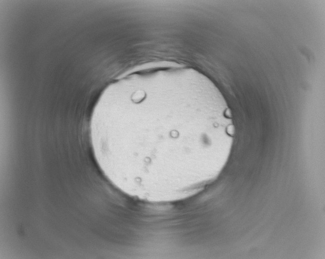 X0000115040480200911231136