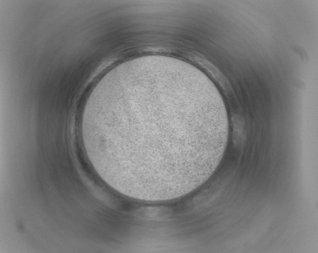 X0000115040482200911231136