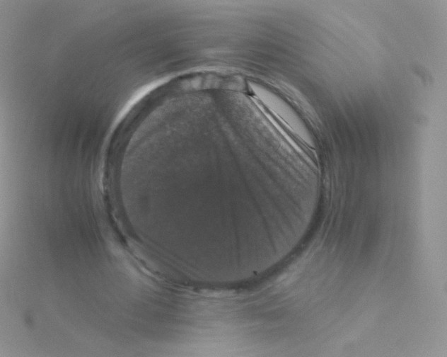 X0000115040484200911231136