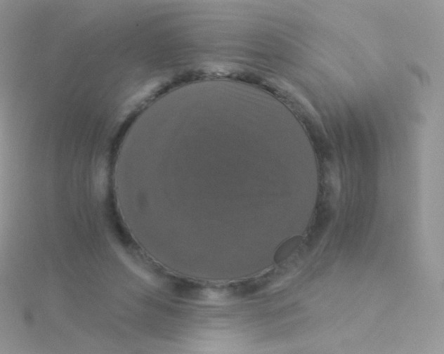 X0000115040496200911231136