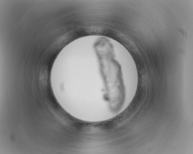 X0000115040498200911231136