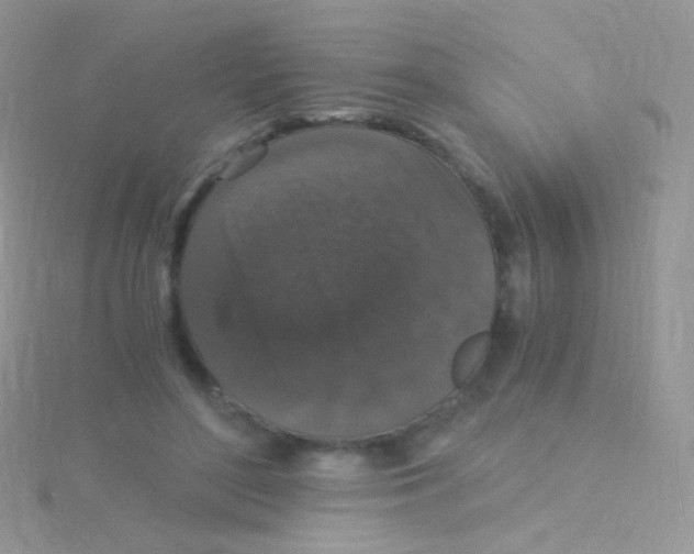 X0000115040500200911231136