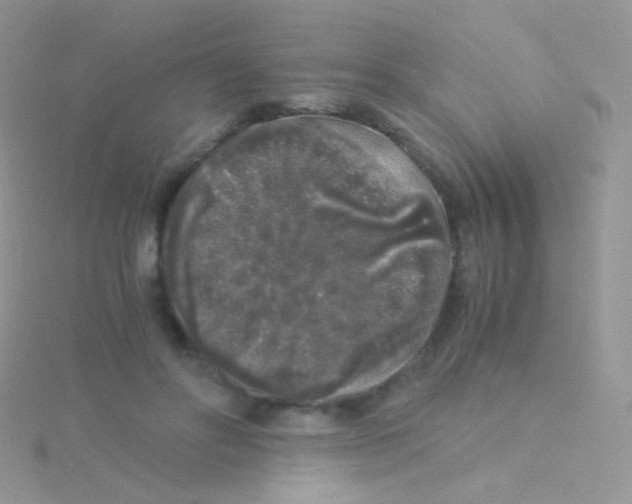 X0000115040502200911231135