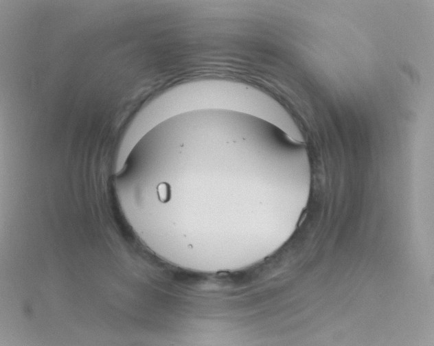 X0000115040504200911231135