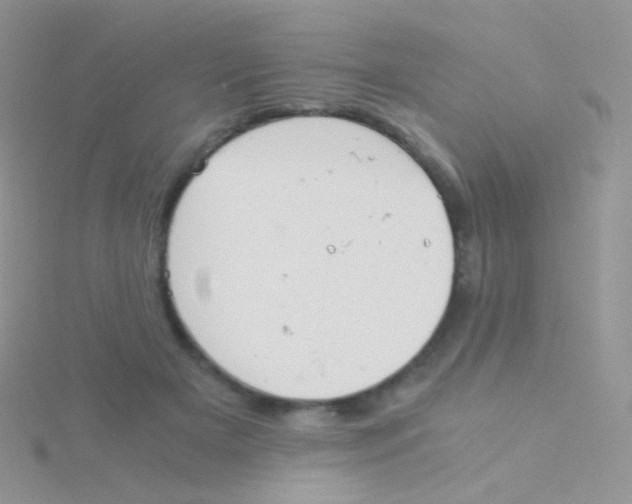 X0000115040505200911231135