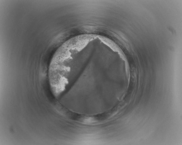 X0000115040507200911231135