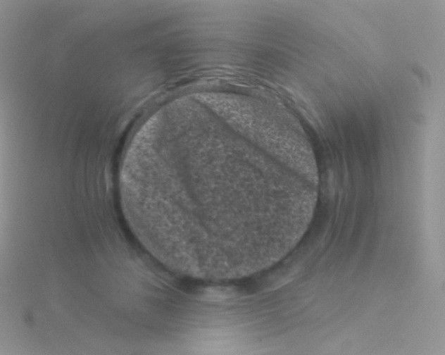 X0000115040508200911231135