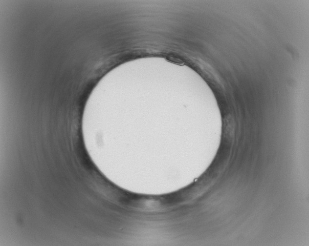 X0000115040509200911231135