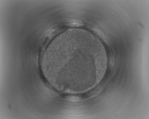 X0000115040512200911231135