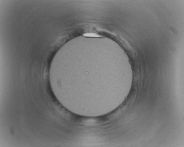 X0000115040513200911231135