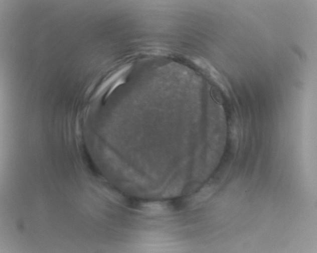 X0000115040516200911231135