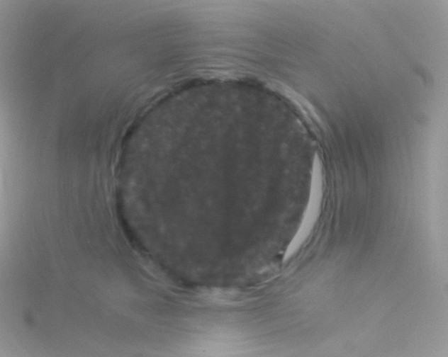 X0000115040517200911231135