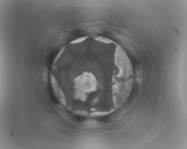 X0000115040519200911231135