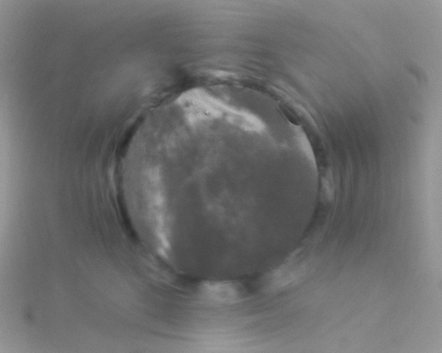 X0000115040520200911231135