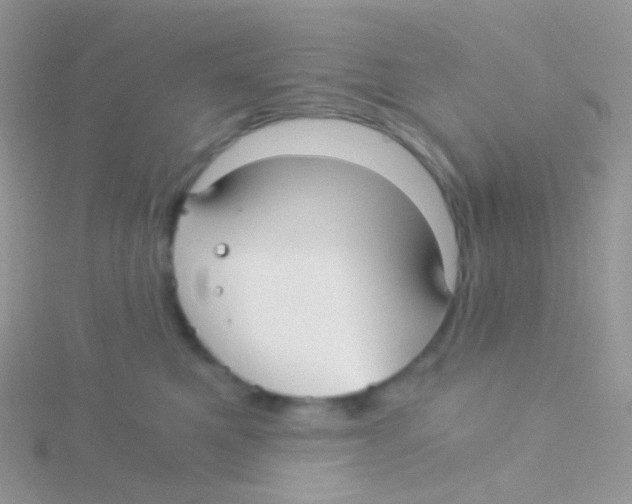 X0000115040521200911231135