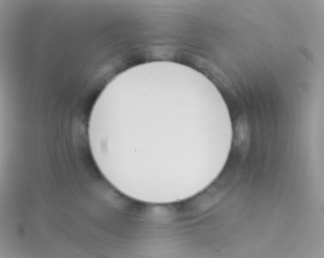 X0000115040522200911231135