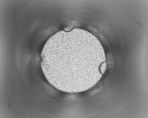 X0000115040523200911231135