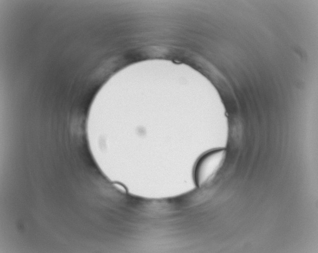 X0000115040525200911231135