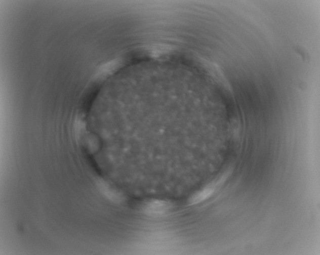 X0000115040527200911231135