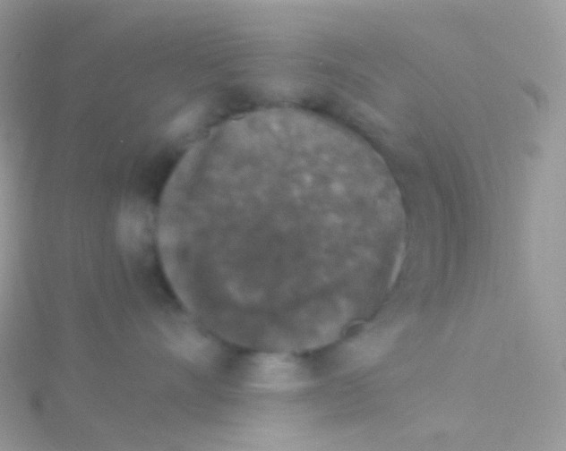 X0000115040528200911231135