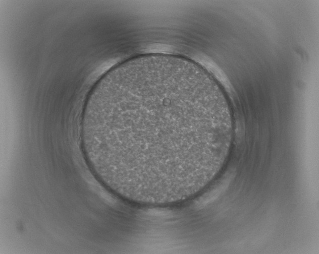 X0000115040529200911231135