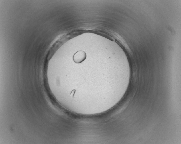 X0000115040530200911231135