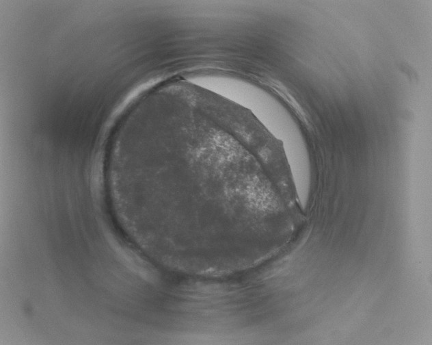 X0000115040531200911231135