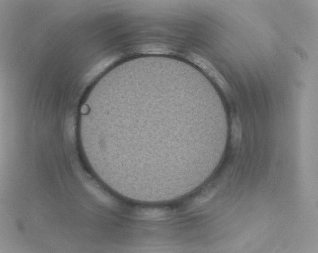 X0000115040533200911231135